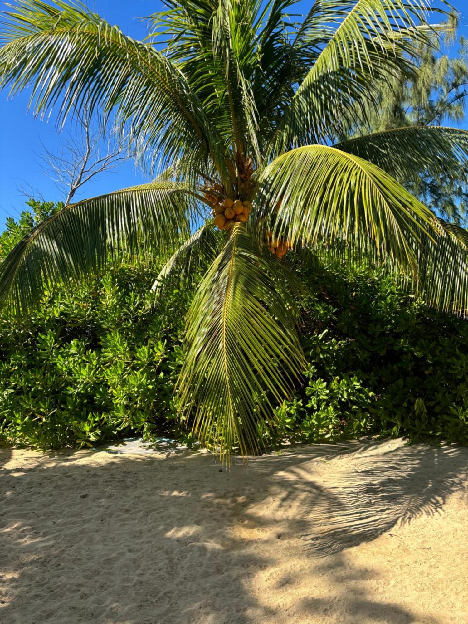 Luxury Apartment On The Beach Belle Mare Bagian luar foto